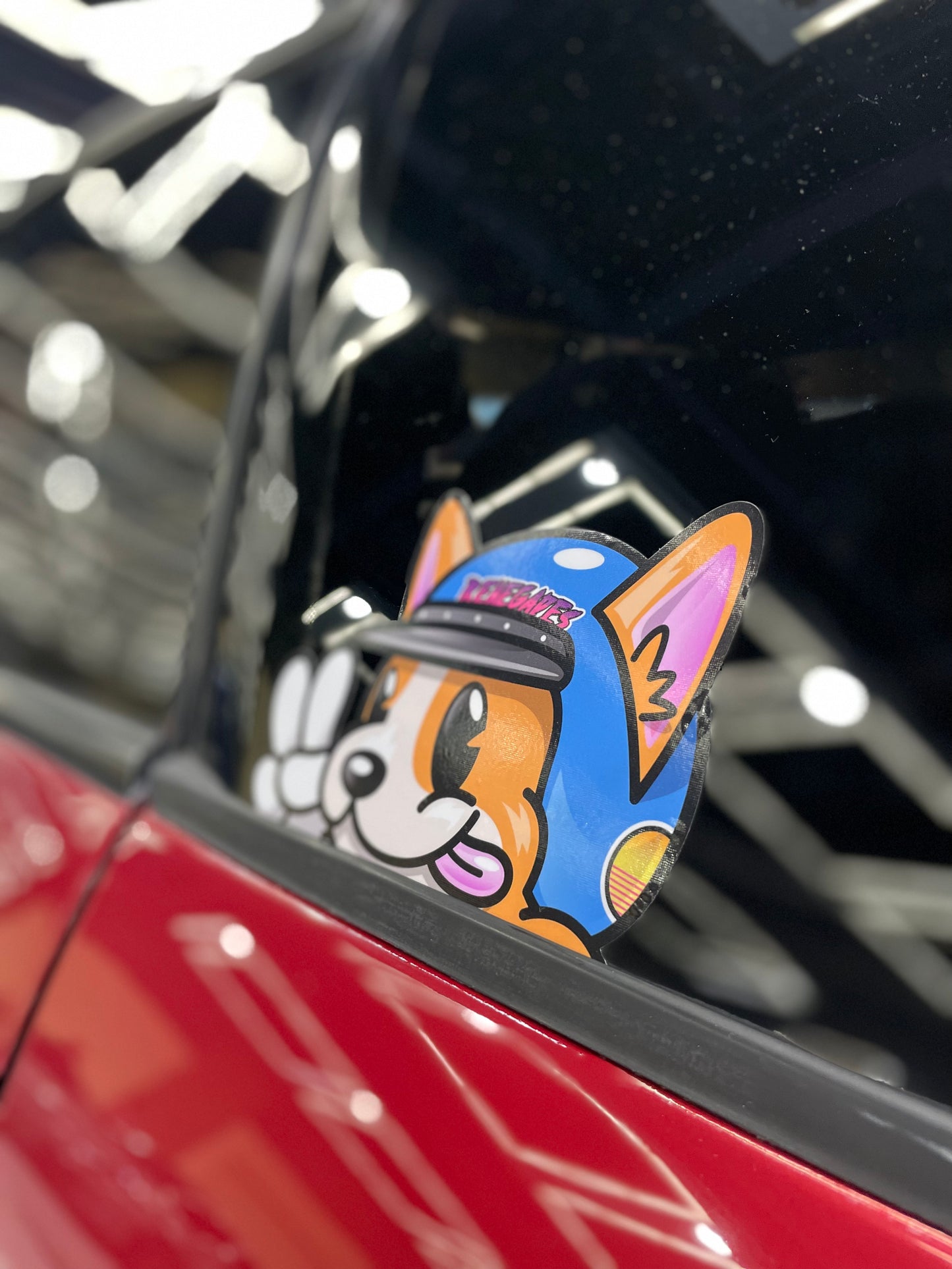 Peeking Racer Corgi